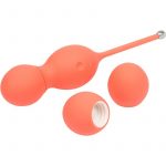 We-Vibe Bloom Coral