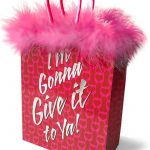 I`m Gonna Give It To You Gift Bag Red/Pink