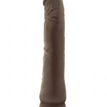 Dr. Skin Basic Non Vibrating Dildo With Suction Cup Chocolate 8.5 Inch