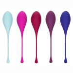 Kegel Training (5 piece) Set - Assorted Colors