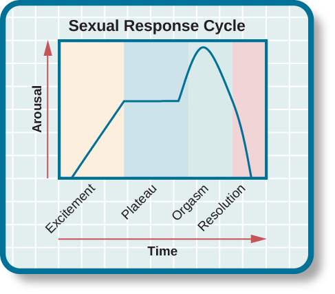 sexual-response-edging