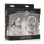 Master Series Caged Cougar Stainless Steel Locking Chastity Cage - Silver