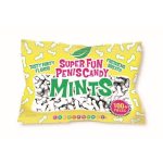 Super Fun Penis Mints 3oz