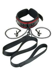 Whipsmart Heartbreakers Deluxe Collar