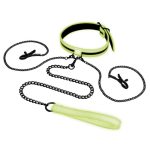 WhipSmart Glow in the Dark Collar with Nipple Clips and Leash - Green